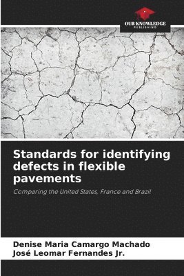 bokomslag Standards for identifying defects in flexible pavements