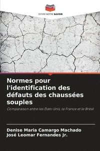 bokomslag Normes pour l'identification des défauts des chaussées souples