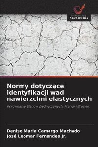 bokomslag Normy dotycz&#261;ce identyfikacji wad nawierzchni elastycznych