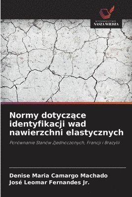 Normy dotycz&#261;ce identyfikacji wad nawierzchni elastycznych 1