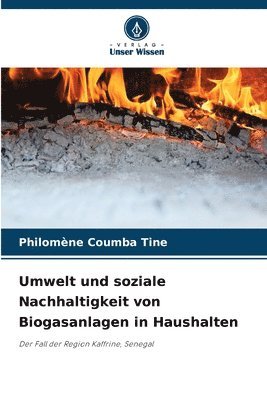 bokomslag Umwelt und soziale Nachhaltigkeit von Biogasanlagen in Haushalten