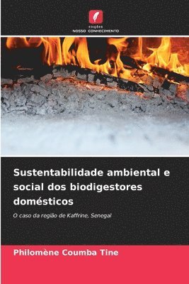 Sustentabilidade ambiental e social dos biodigestores domsticos 1