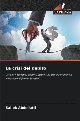 bokomslag crisi del debito