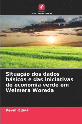 bokomslag Situação dos dados básicos e das iniciativas de economia verde em Welmera Woreda