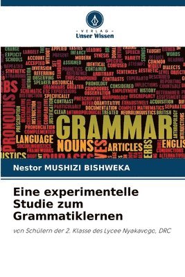 Eine experimentelle Studie zum Grammatiklernen