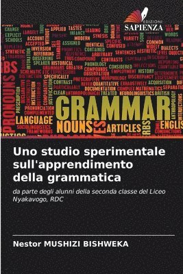 Uno studio sperimentale sull'apprendimento della grammatica 1