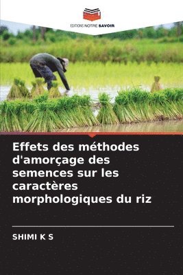 Effets des méthodes d'amorçage des semences sur les caractères morphologiques du riz