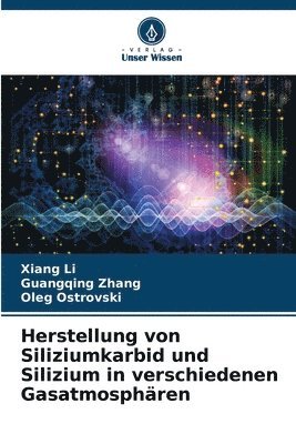 Xiang Li, Guangqing Zhang, Oleg Ostrovski - Herstellung von Siliziumkarbid und Silizium in verschiedenen Gasatmosphären, Häftad