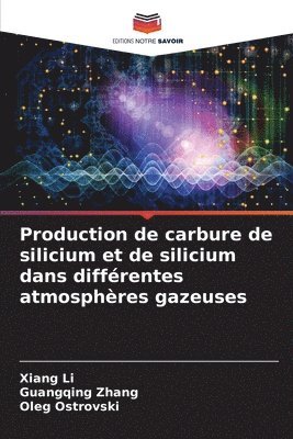 Xiang Li, Guangqing Zhang, Oleg Ostrovski - Production de carbure de silicium et de silicium dans différentes atmosphères gazeuses, Häftad