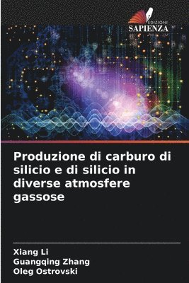 bokomslag Produzione di carburo di silicio e di silicio in diverse atmosfere gassose