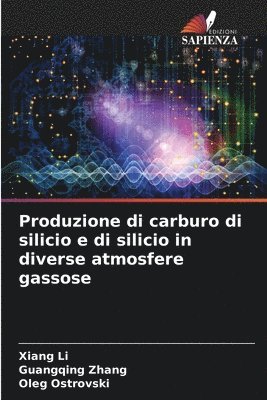 Xiang Li, Guangqing Zhang, Oleg Ostrovski - Produzione di carburo di silicio e di silicio in diverse atmosfere gassose, Häftad