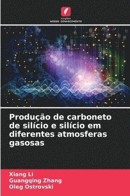 Xiang Li, Guangqing Zhang, Oleg Ostrovski - Produção de carboneto de silício e silício em diferentes atmosferas gasosas, Häftad
