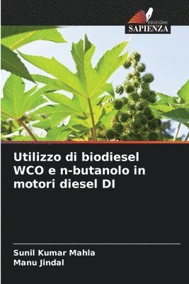 Utilizzo di biodiesel WCO e n-butanolo in motori diesel DI