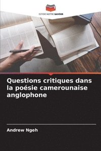 bokomslag Questions critiques dans la posie camerounaise anglophone