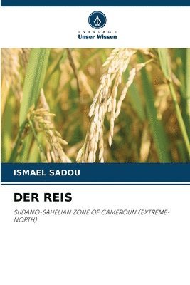 Ismael Sadou - Reis, Häftad