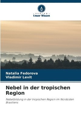 Nebel in der tropischen Region 1