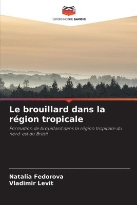 brouillard dans la région tropicale