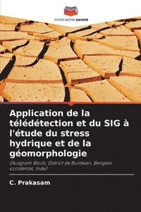 bokomslag Application de la tldtection et du SIG  l'tude du stress hydrique et de la gomorphologie