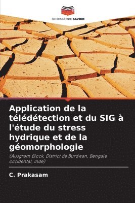 C Prakasam, C. Prakasam - Application de la télédétection et du SIG à l'étude du stress hydrique et de la géomorphologie, Häftad
