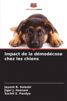 bokomslag Impact de la dmodcose chez les chiens