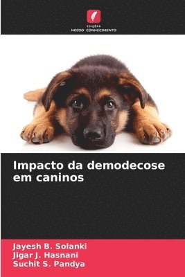 Impacto da demodecose em caninos 1