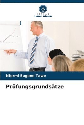 bokomslag Prüfungsgrundsätze