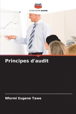 bokomslag Principes d'audit