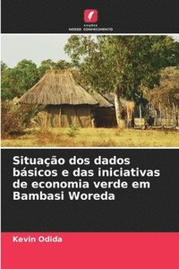 bokomslag Situação dos dados básicos e das iniciativas de economia verde em Bambasi Woreda