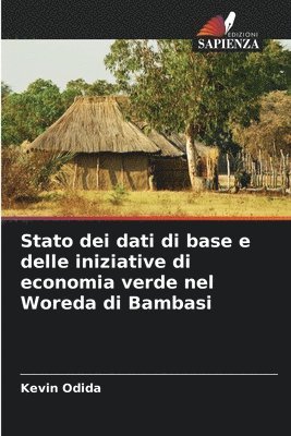 bokomslag Stato dei dati di base e delle iniziative di economia verde nel Woreda di Bambasi