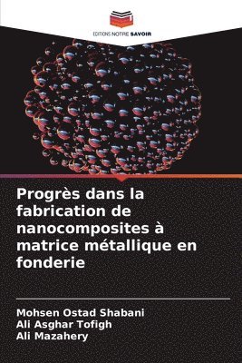 Mohsen Ostad Shabani, Ali Asghar Tofigh, Ali Mazahery - Progrès dans la fabrication de nanocomposites à matrice métallique en fonderie, Häftad