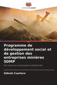 bokomslag Programme de développement social et de gestion des entreprises minières SDMP