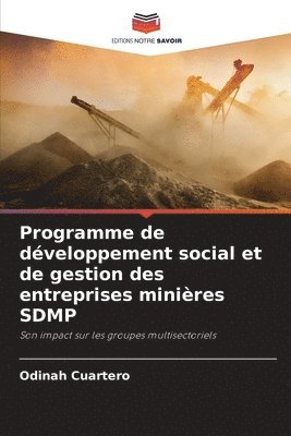 bokomslag Programme de dveloppement social et de gestion des entreprises minires SDMP