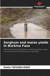 bokomslag Sorghum and maize yields in Burkina Faso