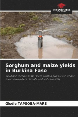 Sorghum and maize yields in Burkina Faso