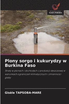 bokomslag Plony sorgo i kukurydzy w Burkina Faso