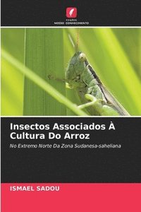 bokomslag Insectos Associados À Cultura Do Arroz