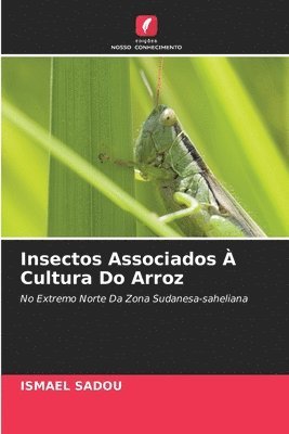 bokomslag Insectos Associados  Cultura Do Arroz