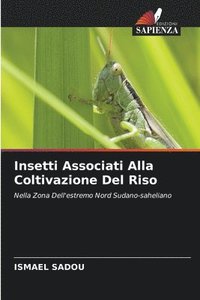 bokomslag Insetti Associati Alla Coltivazione Del Riso