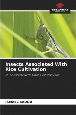 bokomslag Insects Associated With Rice Cultivation