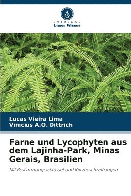 Lucas Vieira Lima, Vinícius A O Dittrich, Vinícius A. O. Dittrich, Vinícius A.O. Dittrich - Farne und Lycophyten aus dem Lajinha-Park, Minas Gerais, Brasilien, Häftad