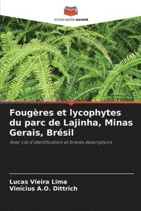 bokomslag Fougères et lycophytes du parc de Lajinha, Minas Gerais, Brésil