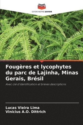 Fougres et lycophytes du parc de Lajinha, Minas Gerais, Brsil 1