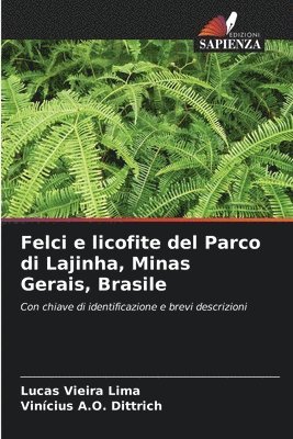Felci e licofite del Parco di Lajinha, Minas Gerais, Brasile