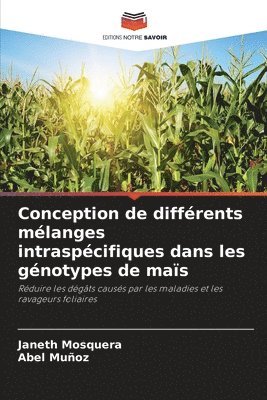 Conception de différents mélanges intraspécifiques dans les génotypes de maïs