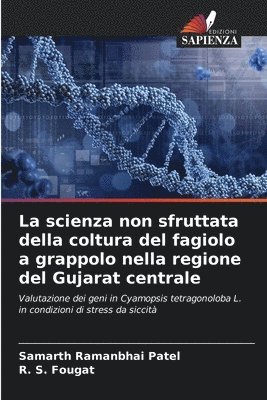 scienza non sfruttata della coltura del fagiolo a grappolo nella regione del Gujarat centrale