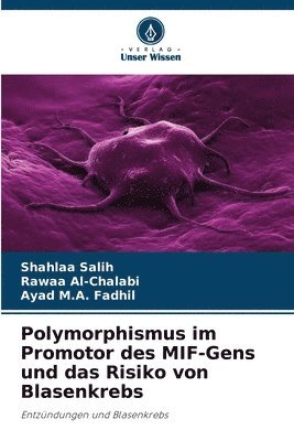 bokomslag Polymorphismus im Promotor des MIF-Gens und das Risiko von Blasenkrebs