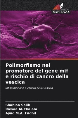 bokomslag Polimorfismo nel promotore del gene mif e rischio di cancro della vescica