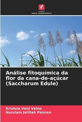 bokomslag Análise fitoquímica da flor da cana-de-açúcar (Saccharum Edule)