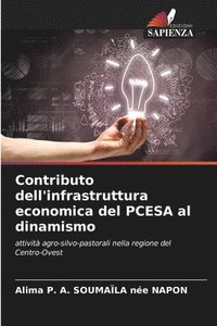 bokomslag Contributo dell'infrastruttura economica del PCESA al dinamismo