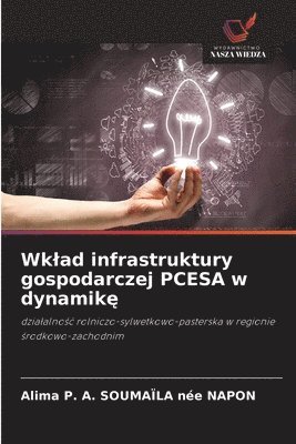 bokomslag Wklad infrastruktury gospodarczej PCESA w dynamik&#281;